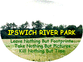 Photo of Ipswich River Park.  Click to enter web site.